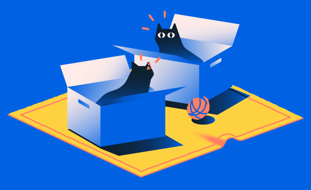 two cats playing in boxes